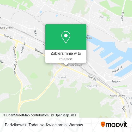 Mapa Padzikowski Tadeusz. Kwiaciarnia