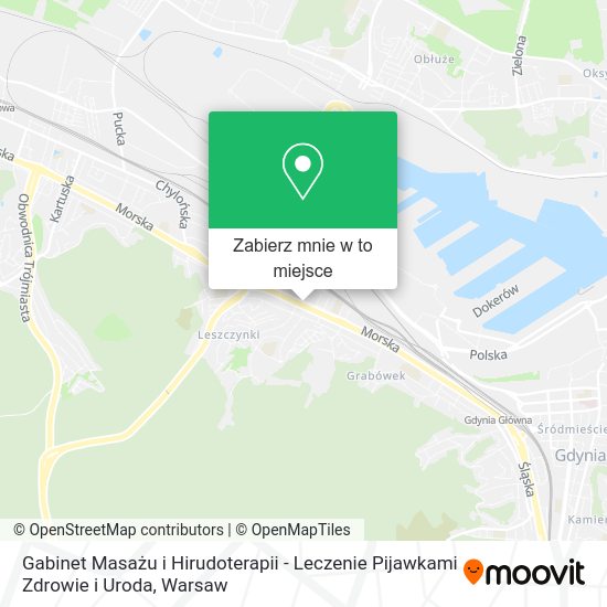 Mapa Gabinet Masażu i Hirudoterapii - Leczenie Pijawkami Zdrowie i Uroda