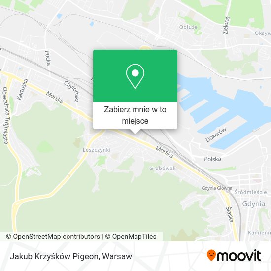 Mapa Jakub Krzyśków Pigeon