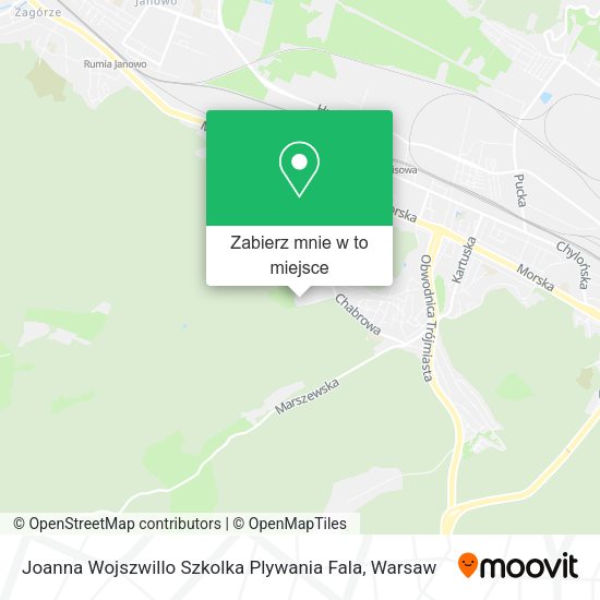 Mapa Joanna Wojszwillo Szkolka Plywania Fala