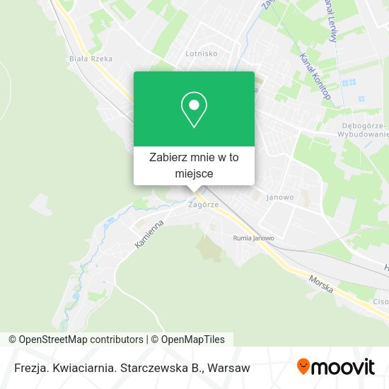 Mapa Frezja. Kwiaciarnia. Starczewska B.