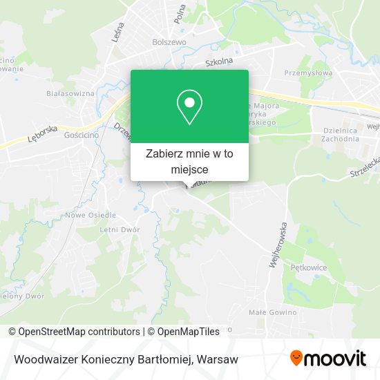 Mapa Woodwaizer Konieczny Bartłomiej