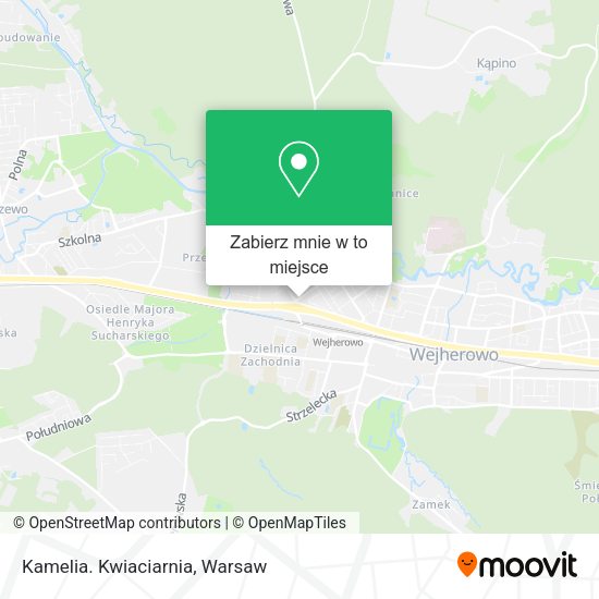 Mapa Kamelia. Kwiaciarnia