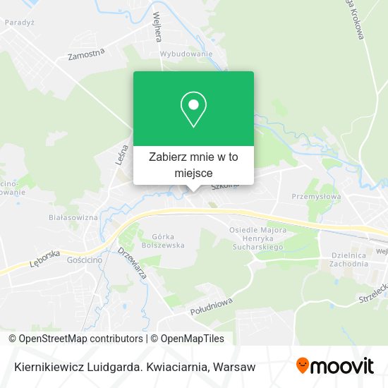 Mapa Kiernikiewicz Luidgarda. Kwiaciarnia