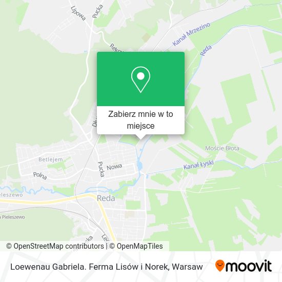 Mapa Loewenau Gabriela. Ferma Lisów i Norek