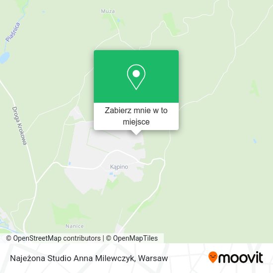 Mapa Najeżona Studio Anna Milewczyk