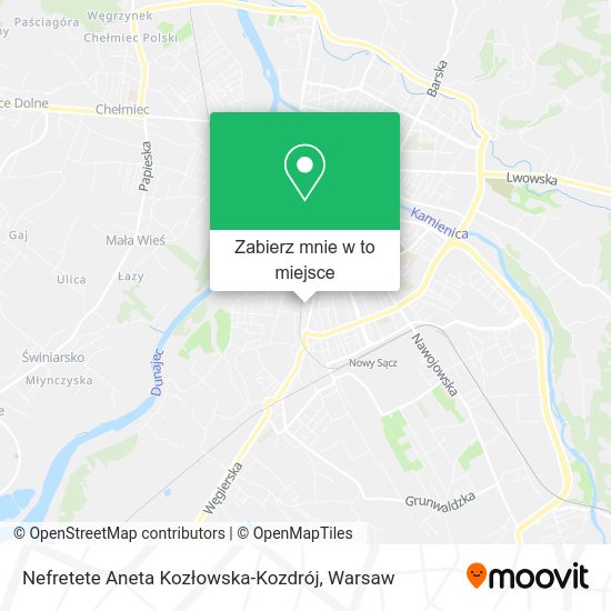 Mapa Nefretete Aneta Kozłowska-Kozdrój