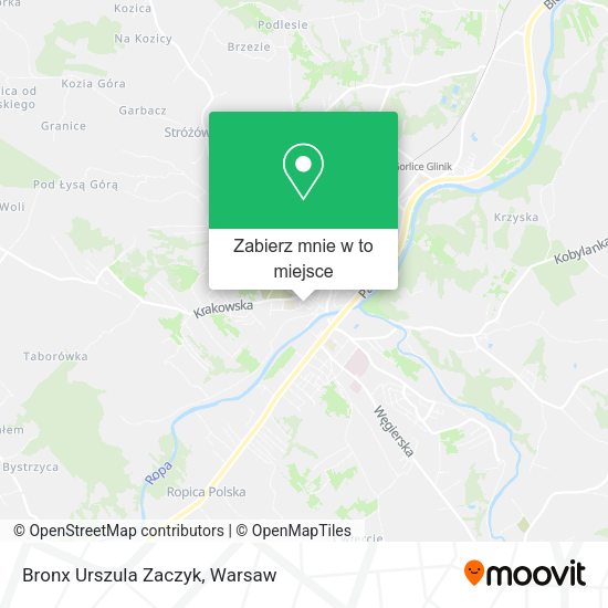 Mapa Bronx Urszula Zaczyk