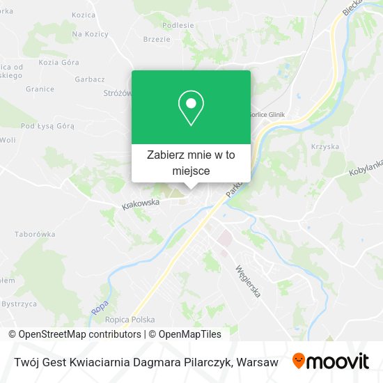 Mapa Twój Gest Kwiaciarnia Dagmara Pilarczyk