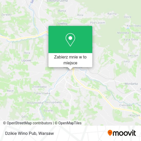 Mapa Dzikie Wino Pub