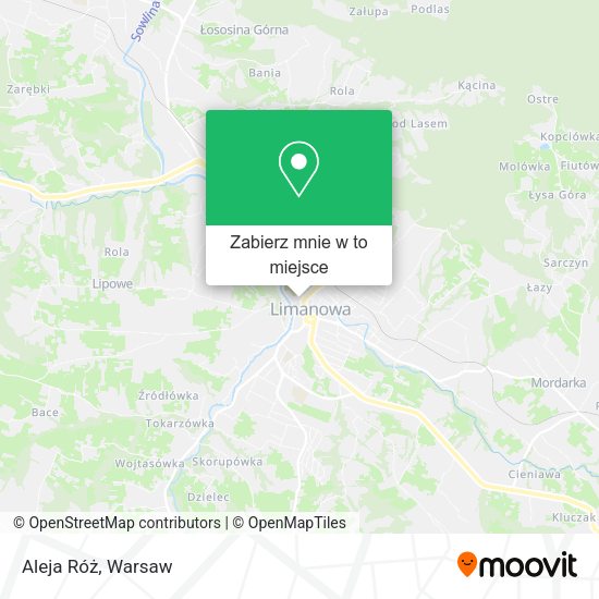 Mapa Aleja Róż