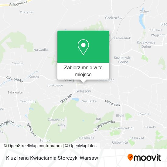 Mapa Kluz Irena Kwiaciarnia Storczyk