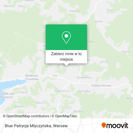 Mapa Blue Patrycja Mlyczyńska