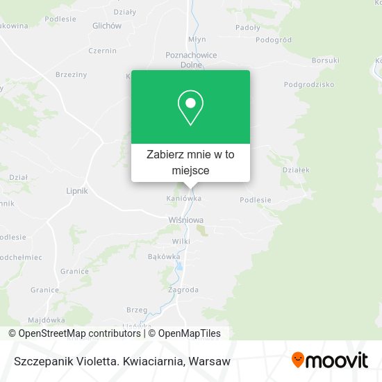 Mapa Szczepanik Violetta. Kwiaciarnia