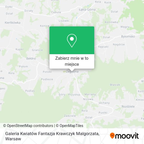 Mapa Galeria Kwiatów Fantazja Krawczyk Malgorzata