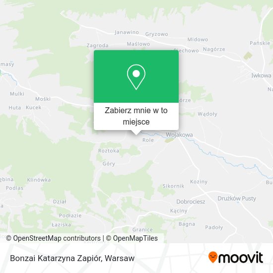 Mapa Bonzai Katarzyna Zapiór