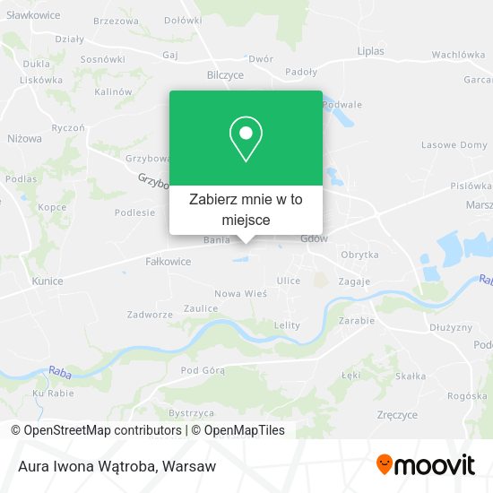 Mapa Aura Iwona Wątroba