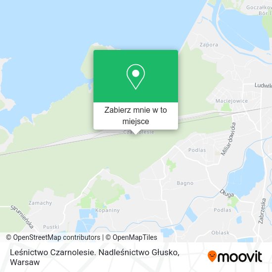 Mapa Leśnictwo Czarnolesie. Nadleśnictwo Głusko