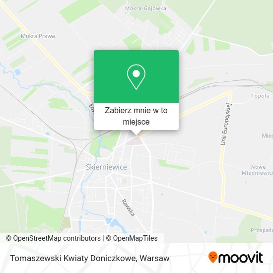 Mapa Tomaszewski Kwiaty Doniczkowe