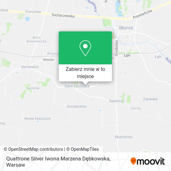 Mapa Quattrone Silver Iwona Marzena Dębkowska