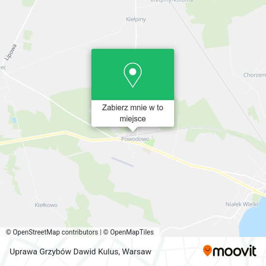 Mapa Uprawa Grzybów Dawid Kulus