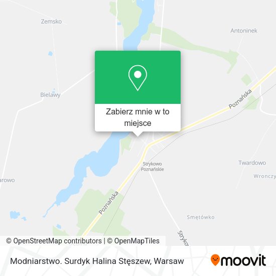 Mapa Modniarstwo. Surdyk Halina Stęszew