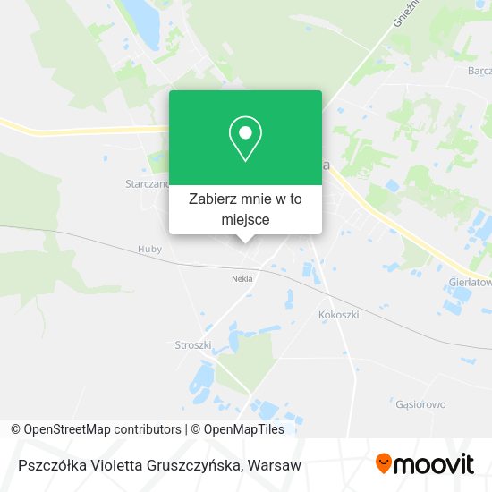 Mapa Pszczółka Violetta Gruszczyńska