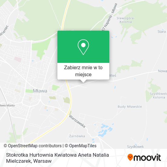 Mapa Stokrotka Hurtownia Kwiatowa Aneta Natalia Mielczarek