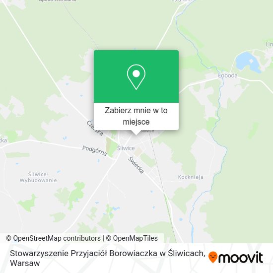 Mapa Stowarzyszenie Przyjaciół Borowiaczka w Śliwicach