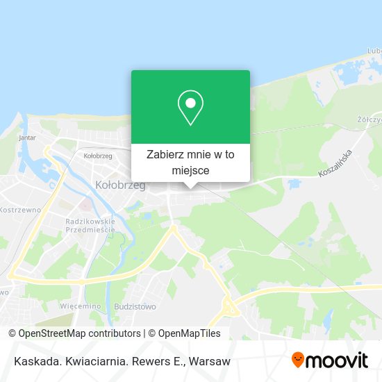 Mapa Kaskada. Kwiaciarnia. Rewers E.