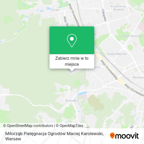 Mapa Miłorząb Pielęgnacja Ogrodów Maciej Karolewski