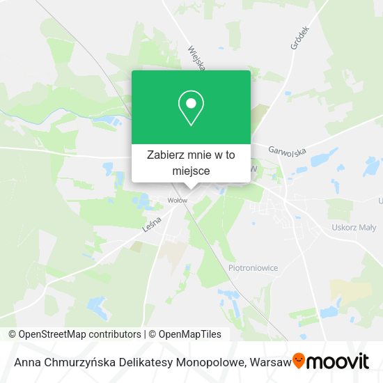 Mapa Anna Chmurzyńska Delikatesy Monopolowe