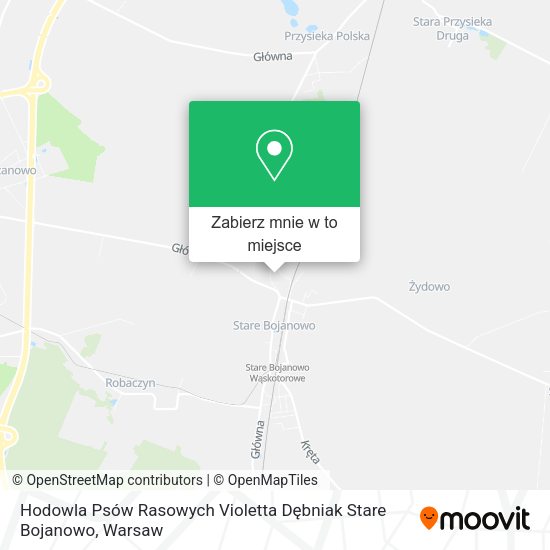 Mapa Hodowla Psów Rasowych Violetta Dębniak Stare Bojanowo