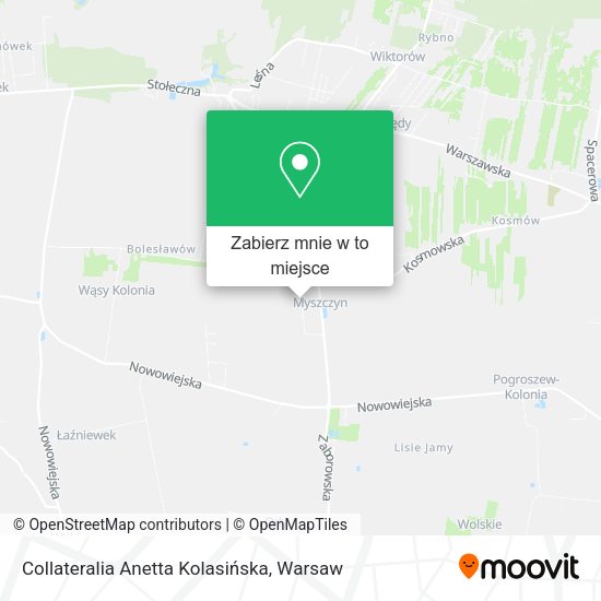 Mapa Collateralia Anetta Kolasińska