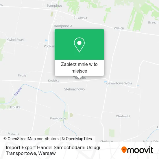 Mapa Import Export Handel Samochodami Uslugi Transportowe