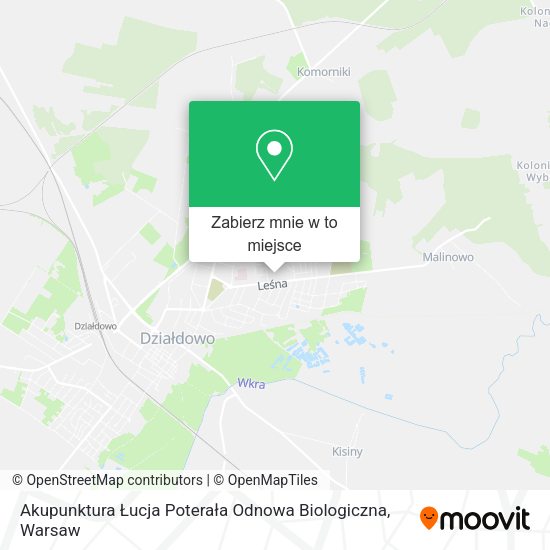 Mapa Akupunktura Łucja Poterała Odnowa Biologiczna