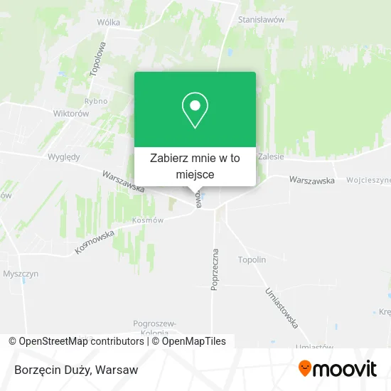 Mapa Borzęcin Duży