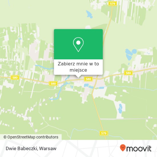 Mapa Dwie Babeczki, ulica Sochaczewska 66 05-084 Leszno