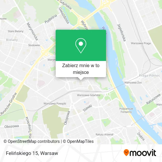 Mapa Felińskiego 15