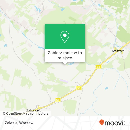 Mapa Zalesie