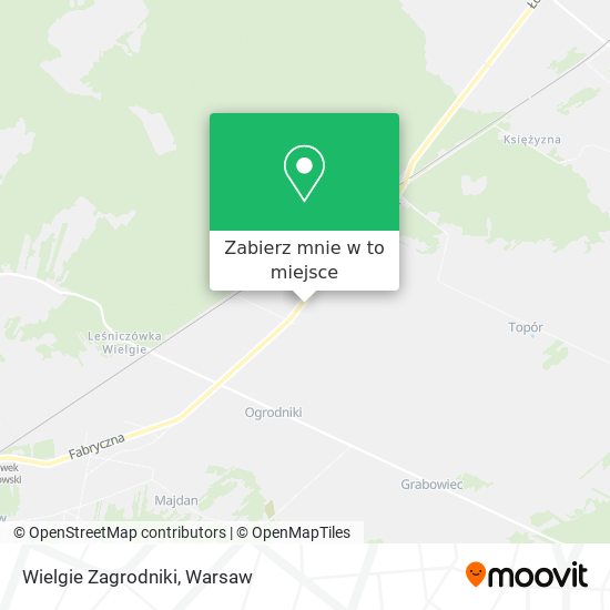 Mapa Wielgie Zagrodniki