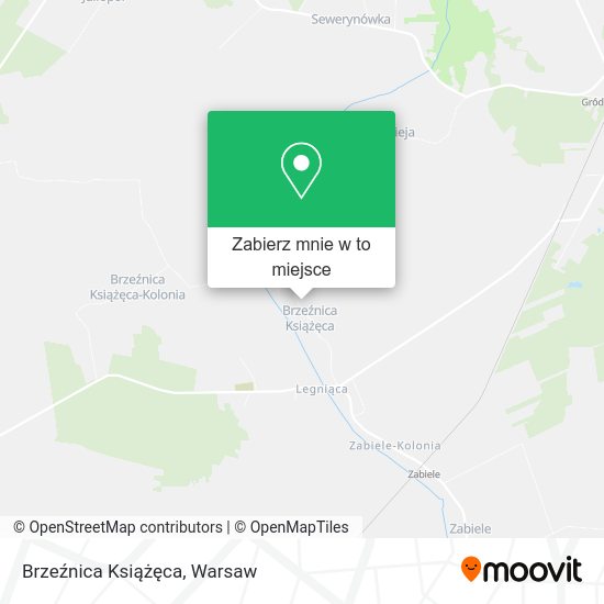 Mapa Brzeźnica Książęca