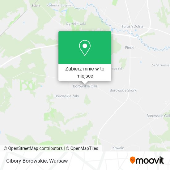 Mapa Cibory Borowskie