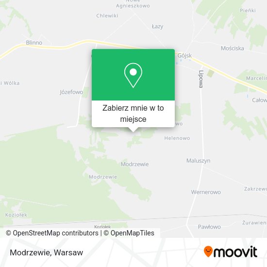 Mapa Modrzewie