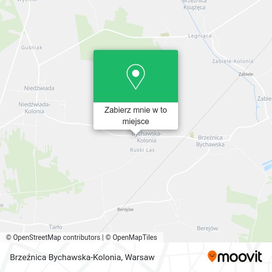 Mapa Brzeźnica Bychawska-Kolonia