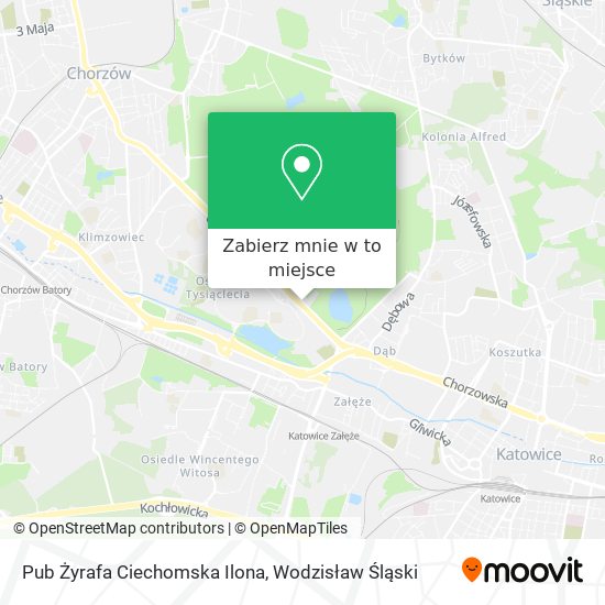 Mapa Pub Żyrafa Ciechomska Ilona