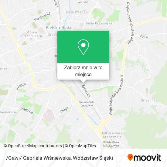Mapa /Gawi/ Gabriela Wiśniewska