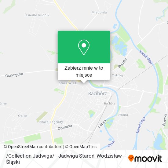 Mapa /Collection Jadwiga/ - Jadwiga Staroń