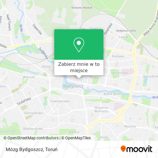 Mapa Mózg Bydgoszcz