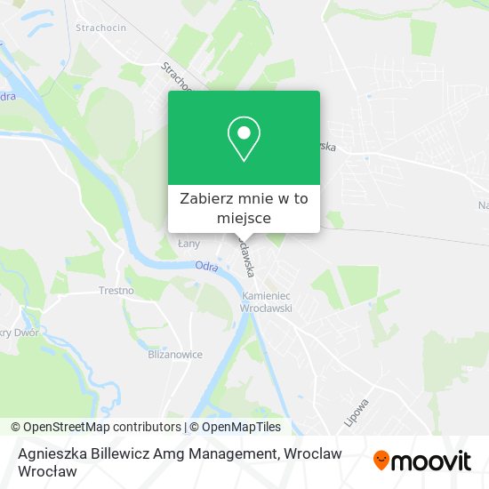 Mapa Agnieszka Billewicz Amg Management
